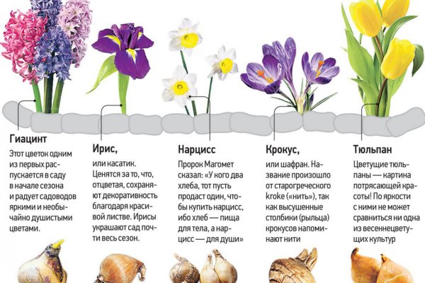 Почему не получается зайти на кракен