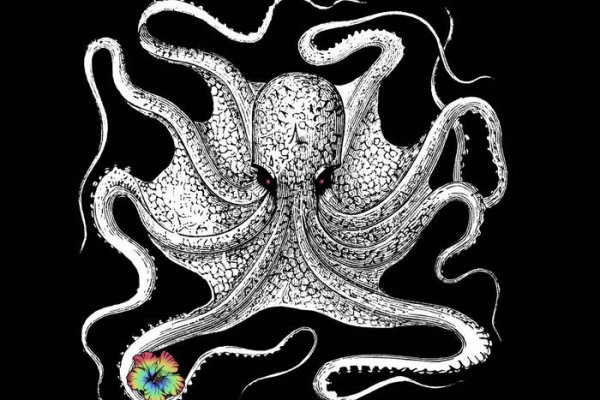 Kraken в россии