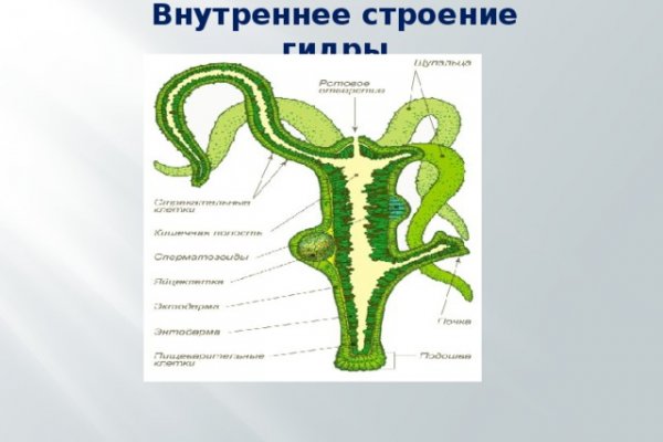 Kraken ссылка kraken014 com