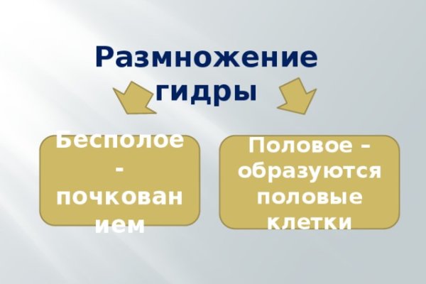 Kra23.gl