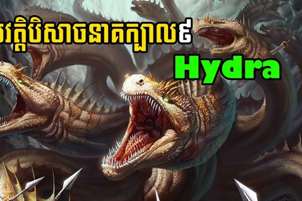 Почему не заходит на кракен