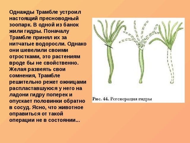 Каталог онион сайтов